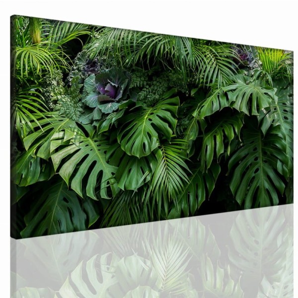 monstera canvas