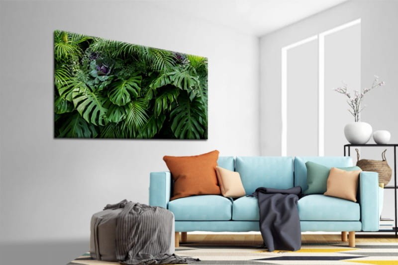 obraz monstera