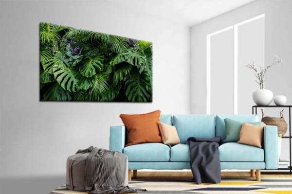 obraz monstera