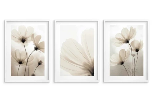 zestaw plakatów kwiaty