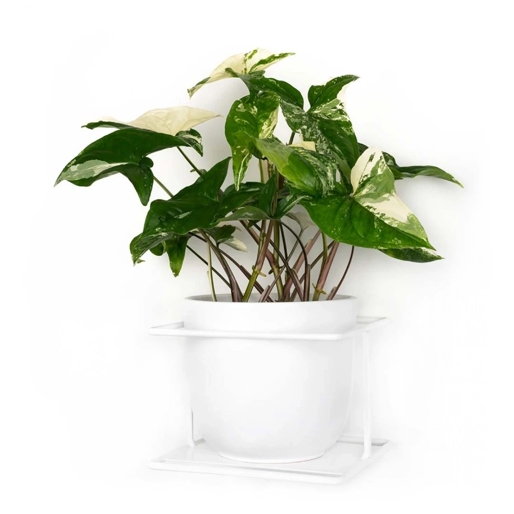 biały kwietnik na ścianę