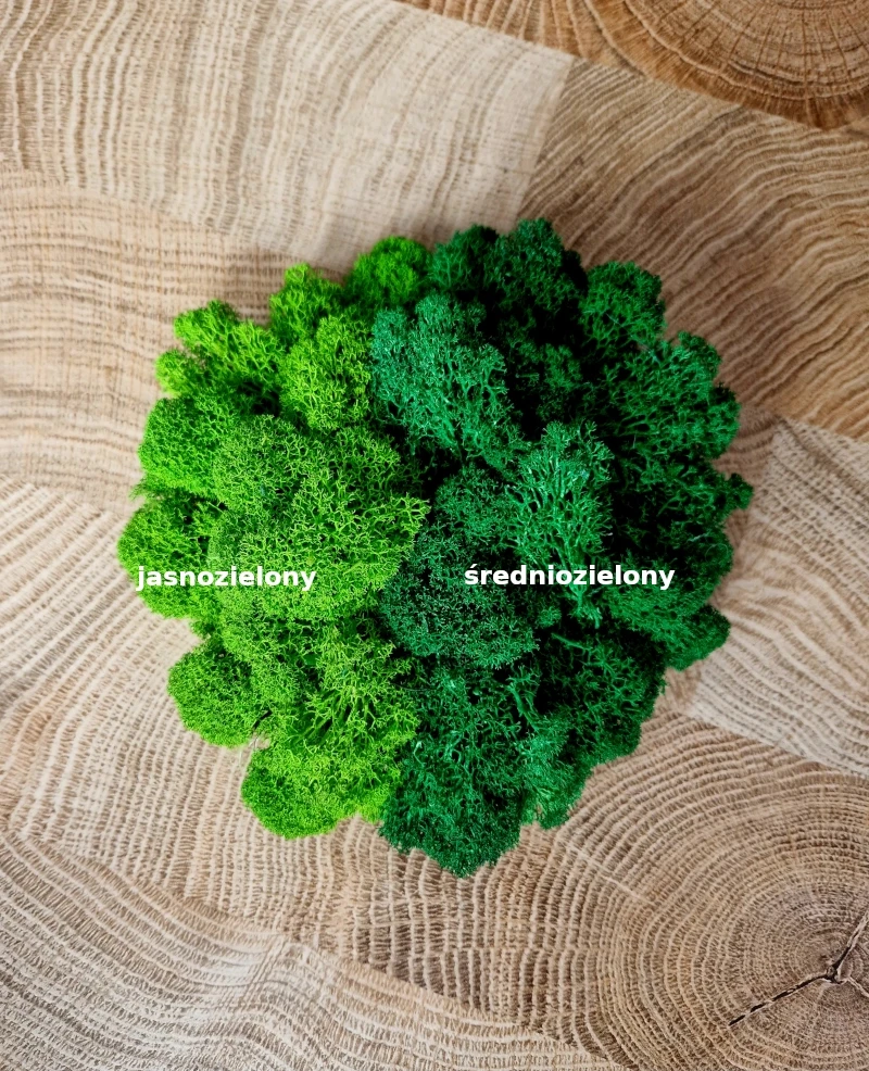 kolory-chrobotka-patihome