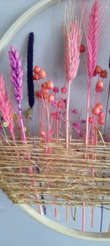 dekoracja na ścianę, okno z suszonych roślin