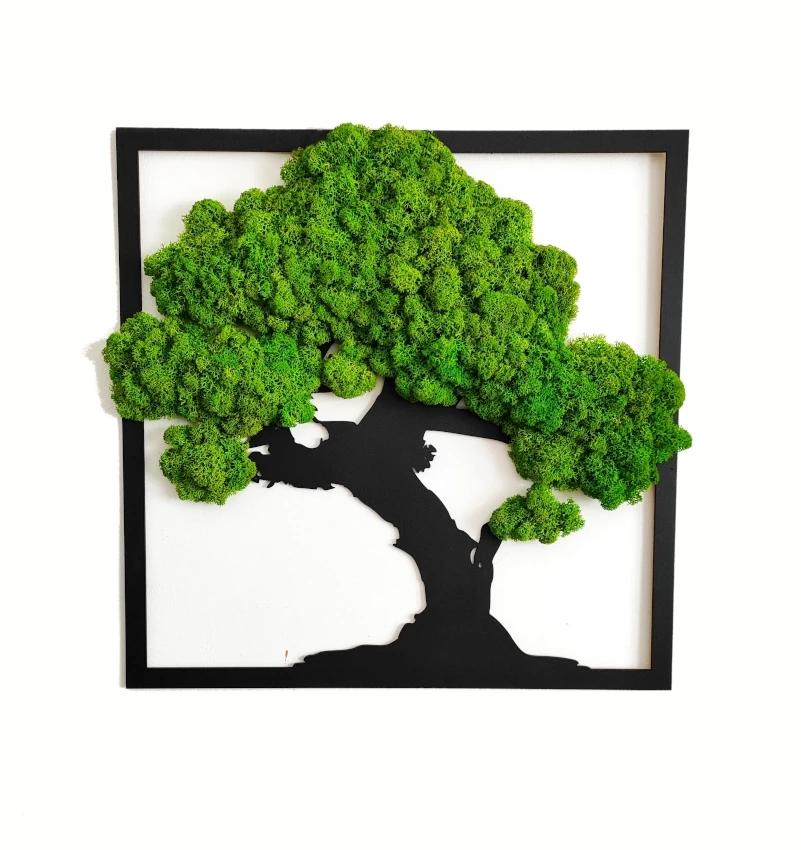 Obraz na prezent | drzewko z chrobotkiem mech