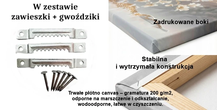 solidna rama plotno.webp