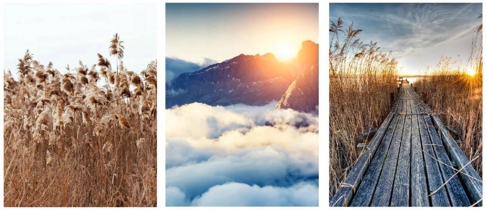 ciepłe beżowe plakaty z naturą i krajobrazem