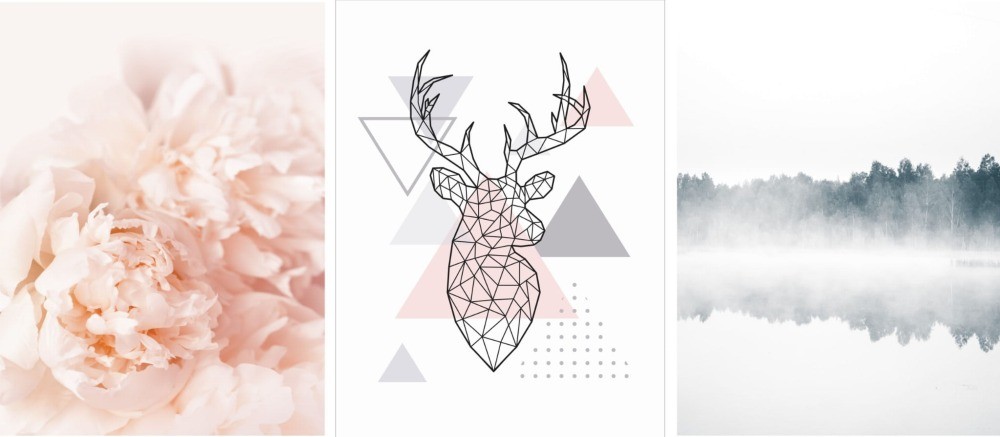 3 plakaty jeleń kwiaty