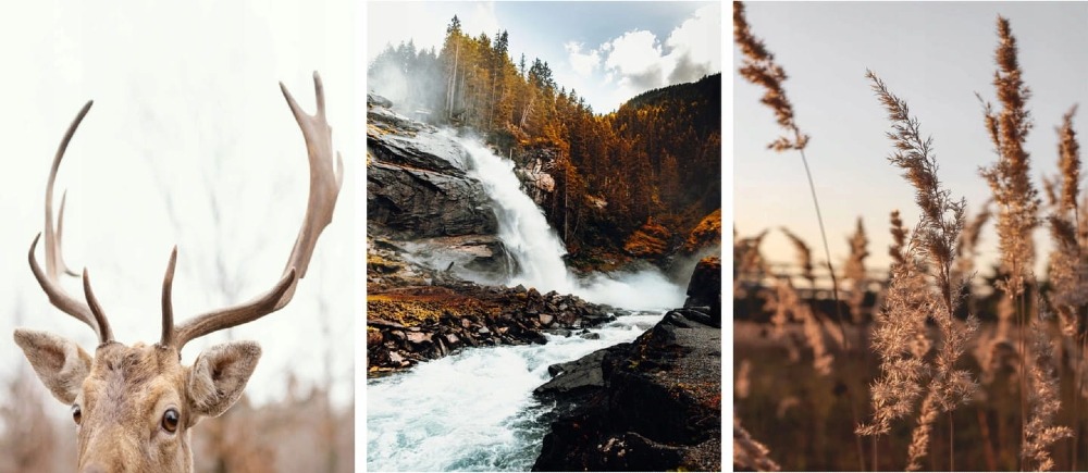 Plakat z portretem jelenia na jasnym tle, styl skandynawski, dekoracja ścienna do sypialni