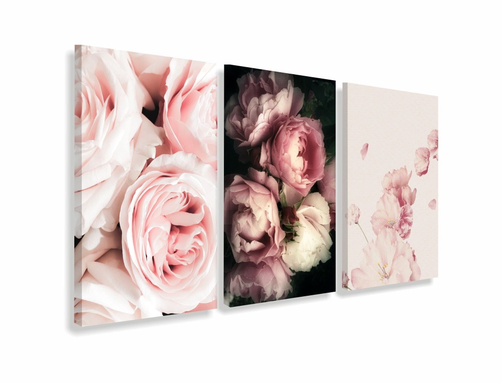 peonie obrazy