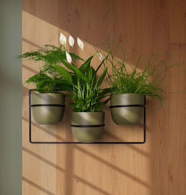 kwietnik polski metalowy w kolorze czarnym