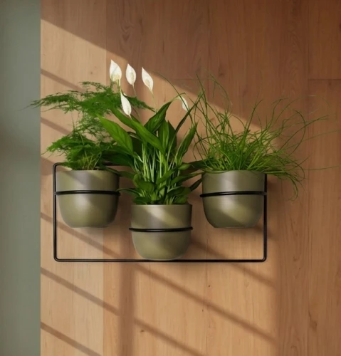 kwietnik polski metalowy w kolorze czarnym