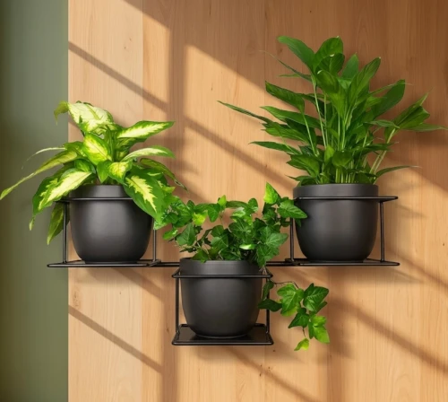 kwietnik polski metalowy czarny  na modnej ścianie