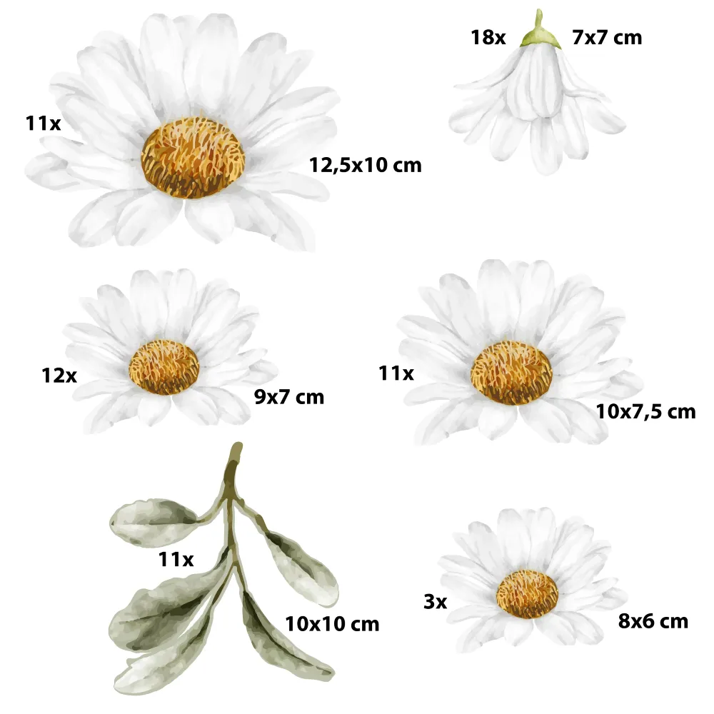 stokrotki na ścianę