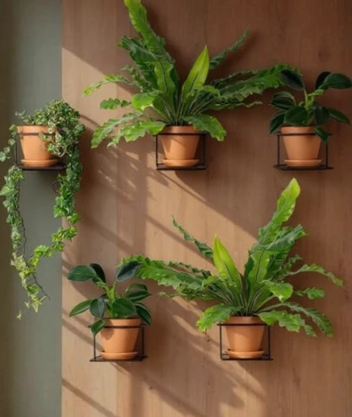 czarne kwietniki flora