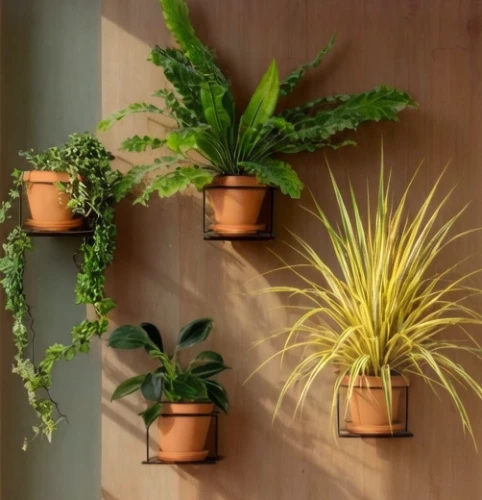kwietnik czarny flora 4 szt