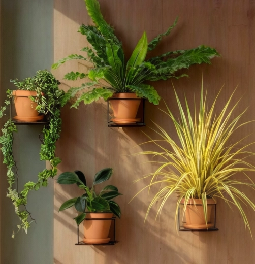 kwietnik czarny flora 4 szt