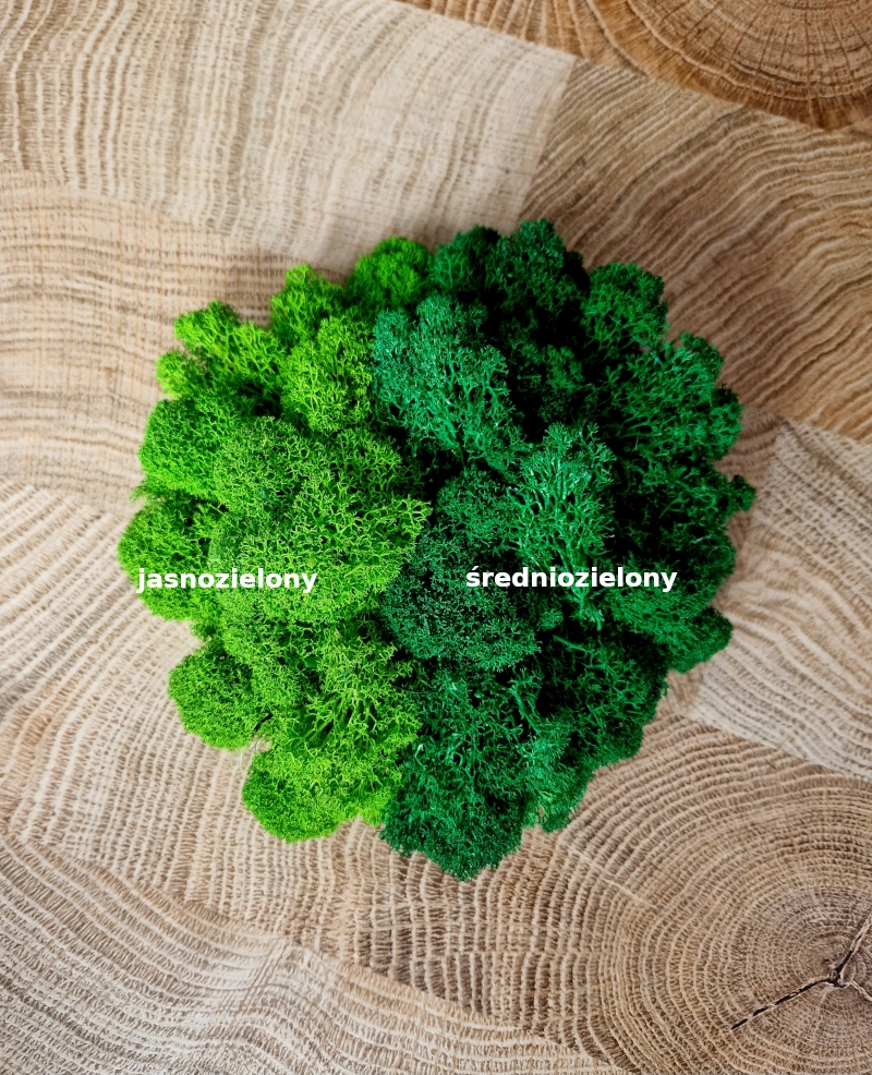 kolory-chrobotka-patihome