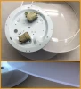 plafon