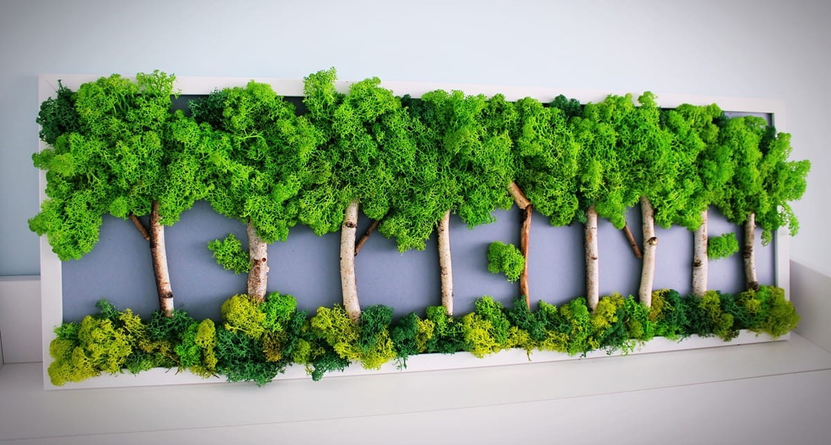 dekoracja z chrobotkiem