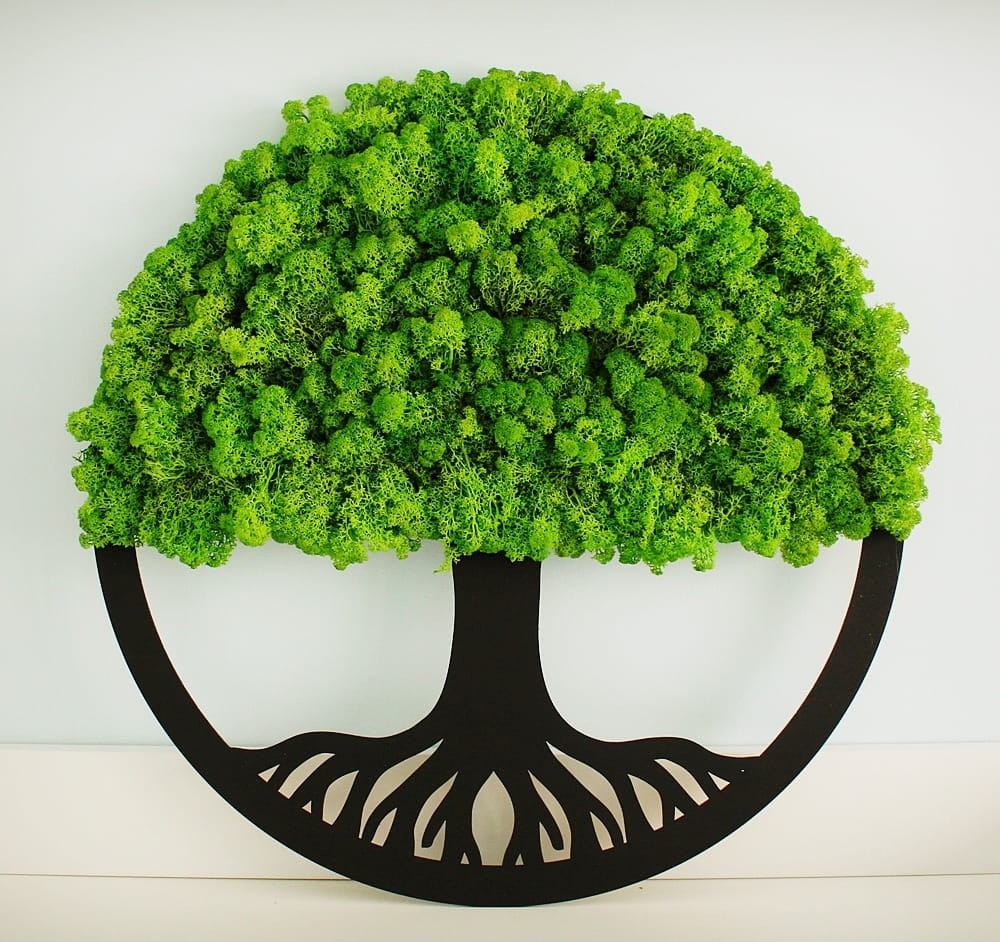 drzewo-życia-chrobotek