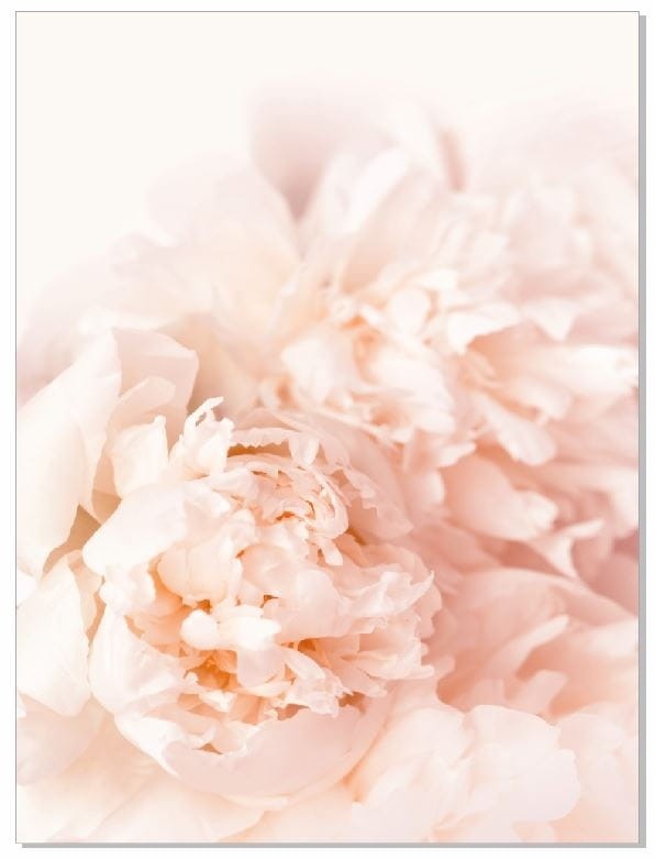 delikatne kwiaty na plakacie