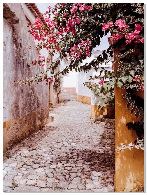 alejka z kwiatami plakat