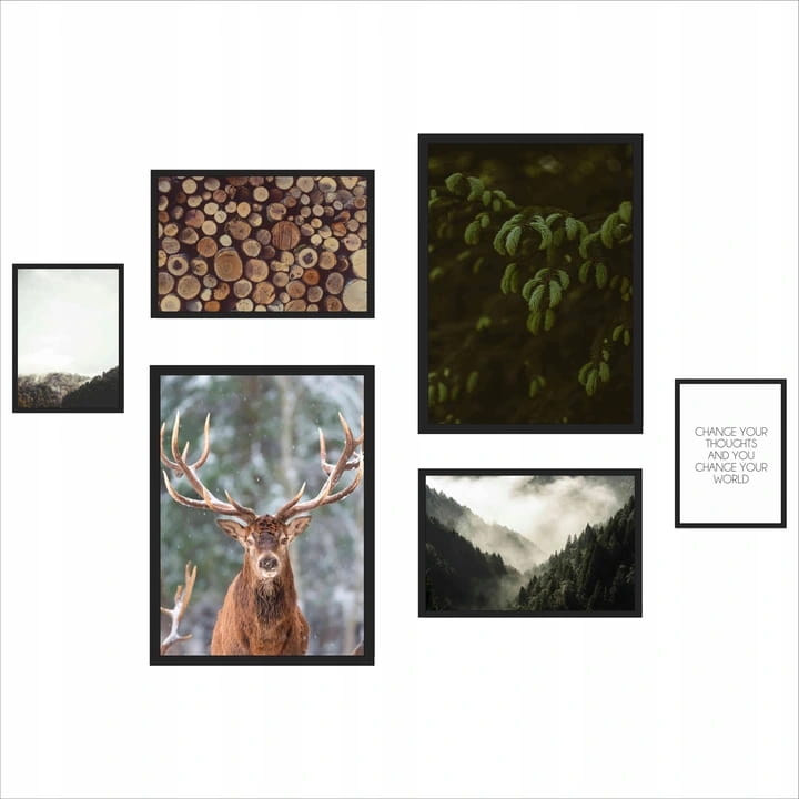 zestaw 6 plakatów jeleń natura