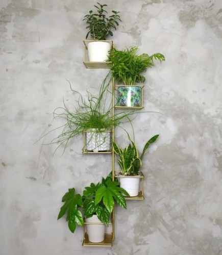 dzungla złoty kwietnik duży na 5 kwiatów