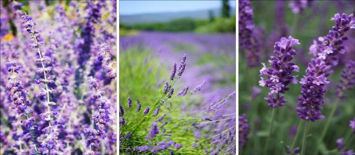 zestaw plakatów do łazienki