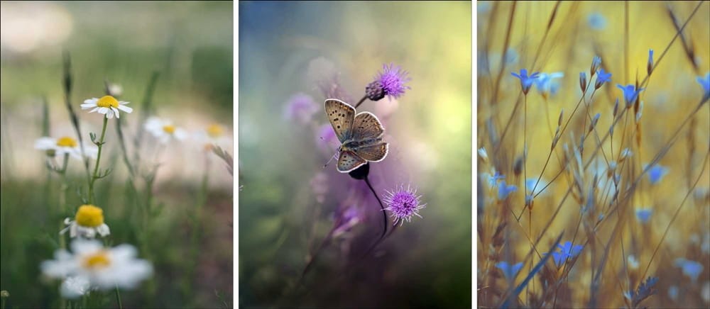 zestaw plakatów do łazienki